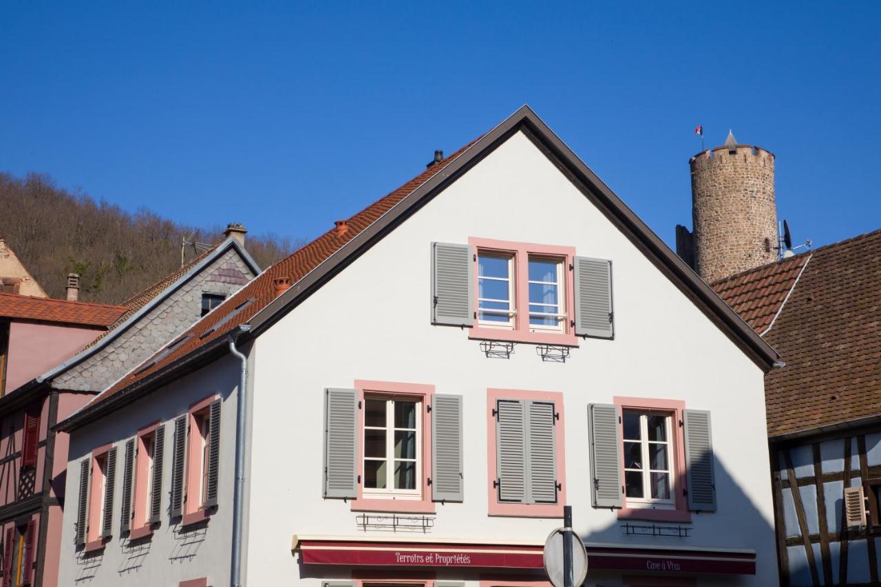Chambres Chez Laurence Kaysersberg-Vignoble Bagian luar foto